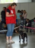 Lysá, 29.5.2010 • Blackie Anima Canis •  Feny, tř. vítězů, V2, res. CAC• Females, Winner Class, Ex2, res. CAC