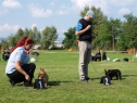 Brno, 11.09.2010 • Feny, tř. dorostu • Females, Puppy Class