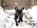 Estom and Betty Boop enjoying 2010 snow.