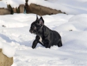 Estom and Betty Boop enjoying 2010 snow.