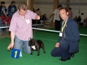 MVP Č. Budějovice, 24.04.2011 • A'Vigdors Don de la Nature • Psi, tř. šampionů • Males, Champion Class • V1/Ex.1, CAC, CACIB, BOB