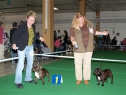 MVP Č. Budějovice, 24.04.2011 • Lara Croft Action Alet & Bea-B Batom • Feny, tř. otevřená • Females, Open Class • CAC, CACIB & Res. CAC, Res. CACIB