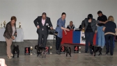 MVP Berlin, 03.04.2018 • Francisco du Terrior de Fontfroide, Holleufer's Genius Gambler, Sormadi Silver Black, Skibelunden's Always the Colonel • Psi, tř. mladých • Males, Junior Class • Vítězové • Winners