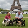 WDS & FRCH 2011, Paris • Buldočci z ČR pod Eiffelovkou • Frenchies from the Czech Republic under the Eiffel Tower • Foto/Photo: L. Sosnová