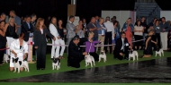 World Dog Show 2011, Paris, 10.07.2011 • Psi, strakoši, tř. otevřená • Males, pied, Open Class • Souboj o umístění • Fight for placement