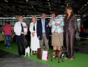 World Dog Show 2011, Paris, 10.07.2011 • LOUISE-MARIE DE EL MENCEY LOCO & RENUAR BURZHUA BRUNO • Oba Světoví vítězové 2011 a rozhodčí • Both World Winners 2011 and judges