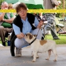 Mladá Boleslav • 26.08.2012 • Baboo Loco Poco • Feny, mezitřída • Females, Intermediate Class • V1, CAC, CACIB • Ex.1, CAC, CACIB 