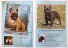 The World of Frenchies in 2009 and 2010 ● Příklady inzerátů ● Sample ads