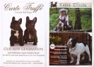 The World of Frenchies in 2009 and 2010 ● Příklady inzerátů ● Sample ads