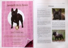 The World of Frenchies in 2009 and 2010 ● Příklady inzerátů ● Sample ads