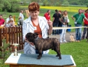 Bad Hviezdoslavov Fan Bull ● psi, tř. šampionů, V2, res. CAC ● Males, Champion Class, Ex.2, Res. CAC